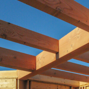 European Douglas Fir Beams